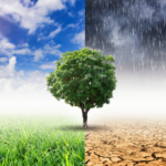 The Met Office Presents: Climate Change – Something to Talk About? with Alex Chamberlain-Clay, 1pm