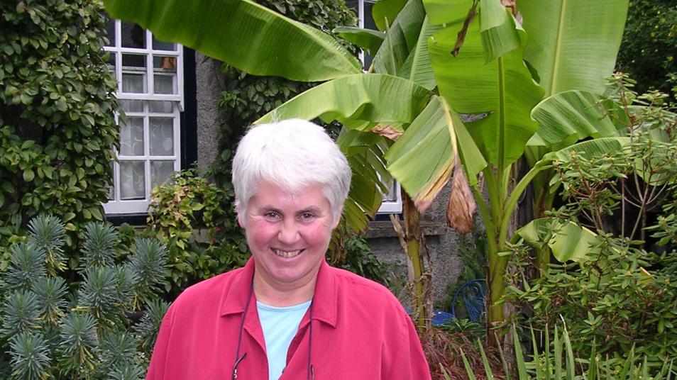 Sue Minter – The Healing Garden